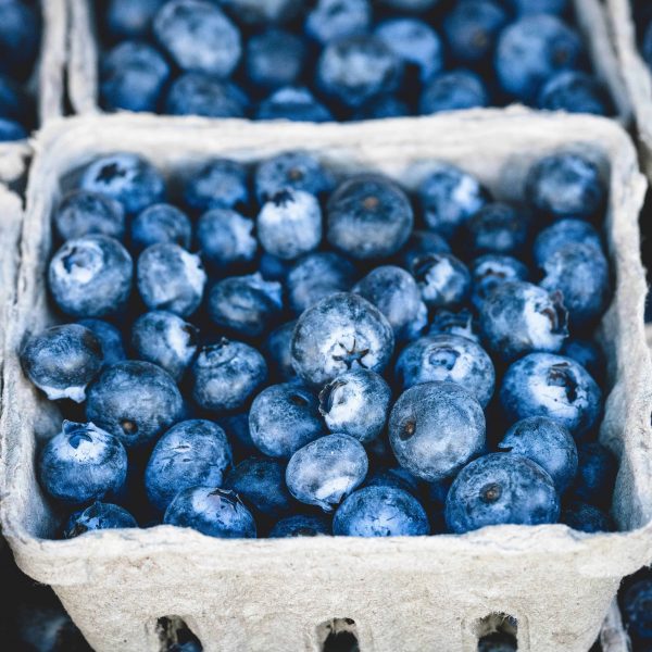 food-healthy-red-blue-70862
