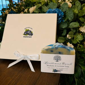 Blueberry soap at bridlewood ranch