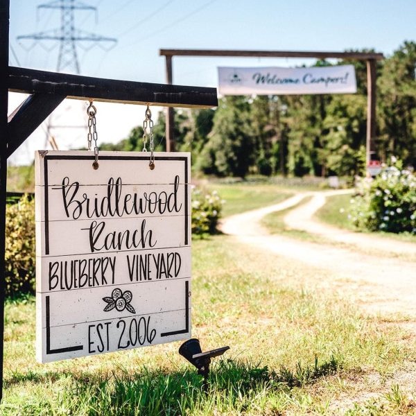 Wedding venue entrance Elegant entrance to Bridlewood Ranch wedding venue
