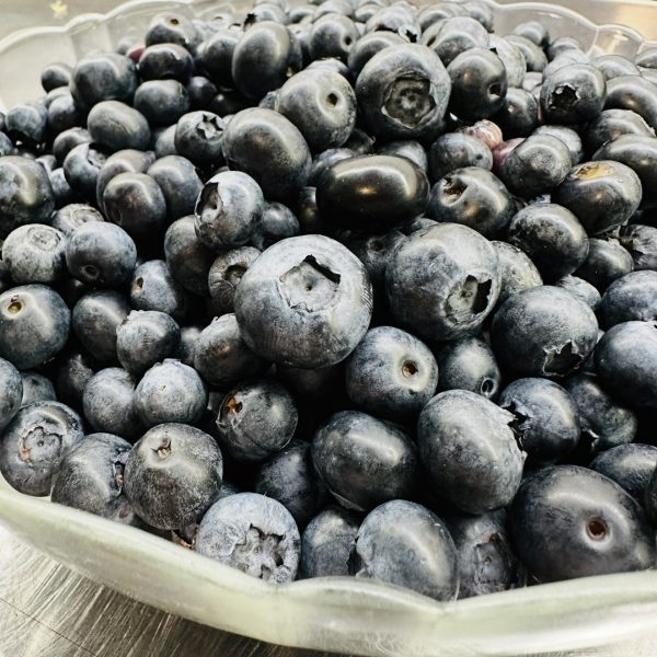 Fresh blueberry basket harvest Basket filled with freshly picked blueberries from Bridlewood Ranch