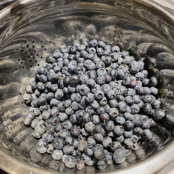 Blueberry crop harvest Seasonal blueberry crop at Bridlewood Ranch