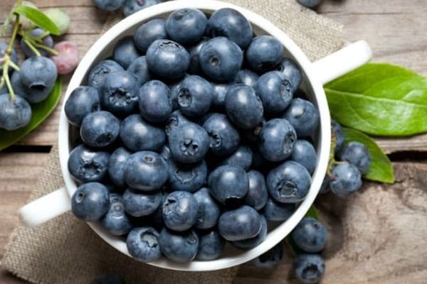 Fresh blueberry crates Crates filled with fresh blueberries from Bridlewood Ranch